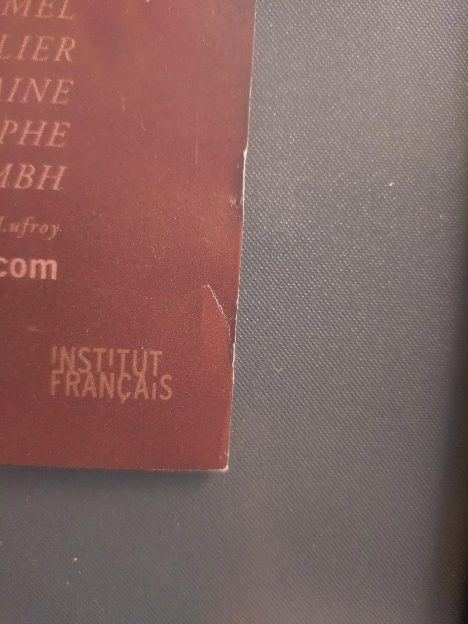 "Amelie" Original Release  Japanese Movie Poster (Red Version) 2001 B1 Size (106.7 x 76.2 cm) #63