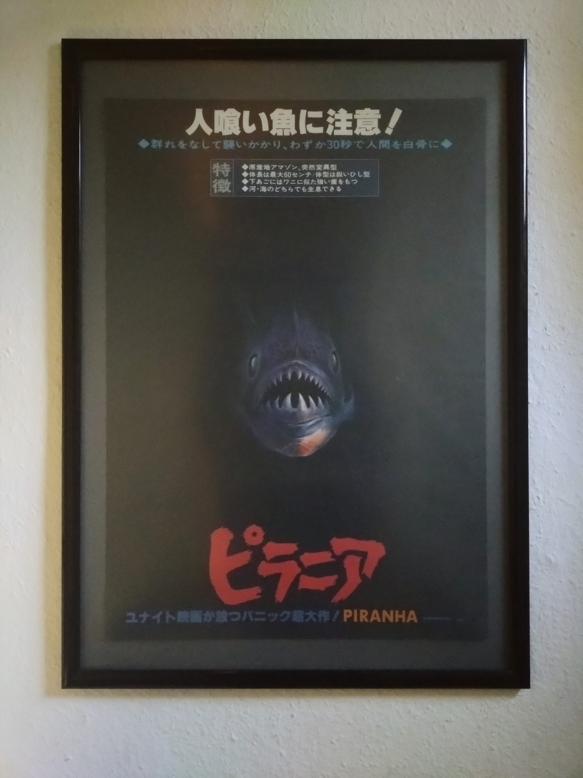 "Piranha" Original Release  Japanese Movie Poster 1978 B2 Size (51 x 73cm) #44